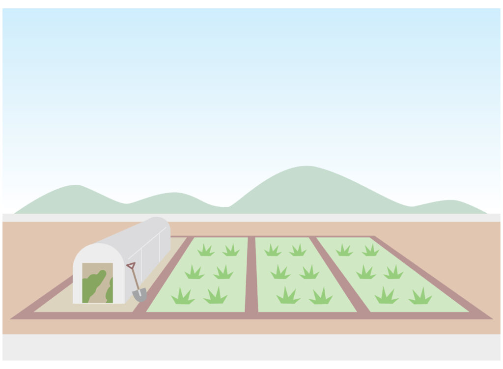 現在の画像に代替テキストがありません。ファイル名: 22477064-scaled.jpg